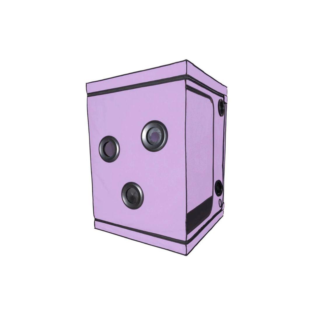 Skandal - Purple