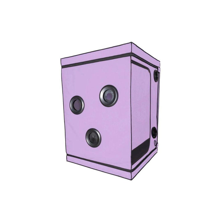 Skandal - Purple