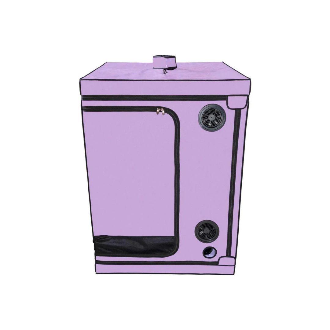 Skandal - Purple