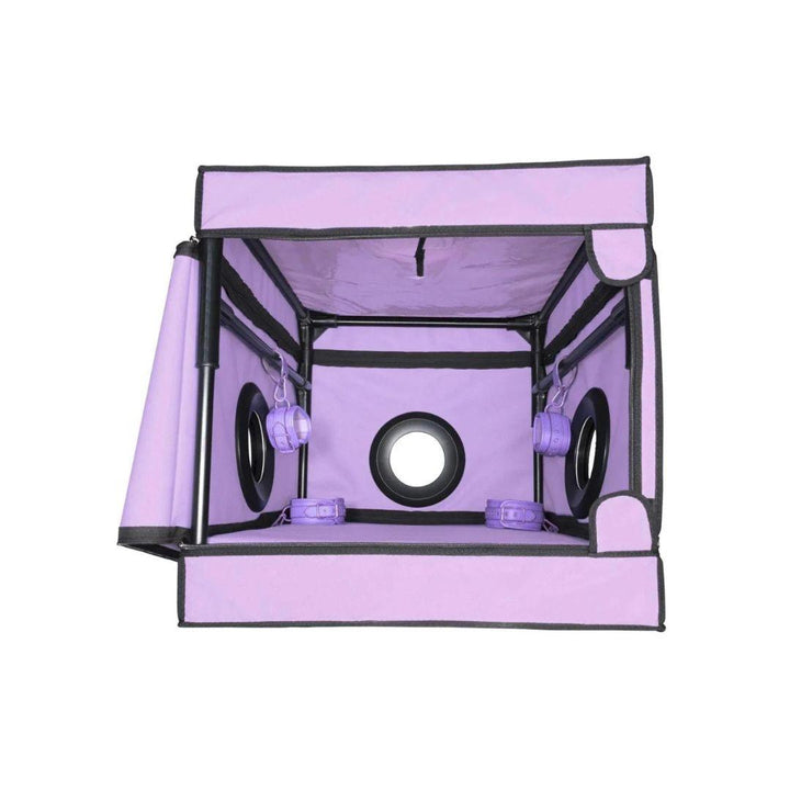 La Niche - Purple