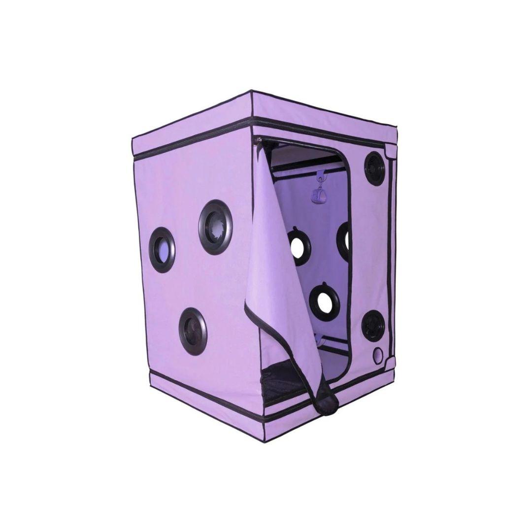 Skandal - Purple