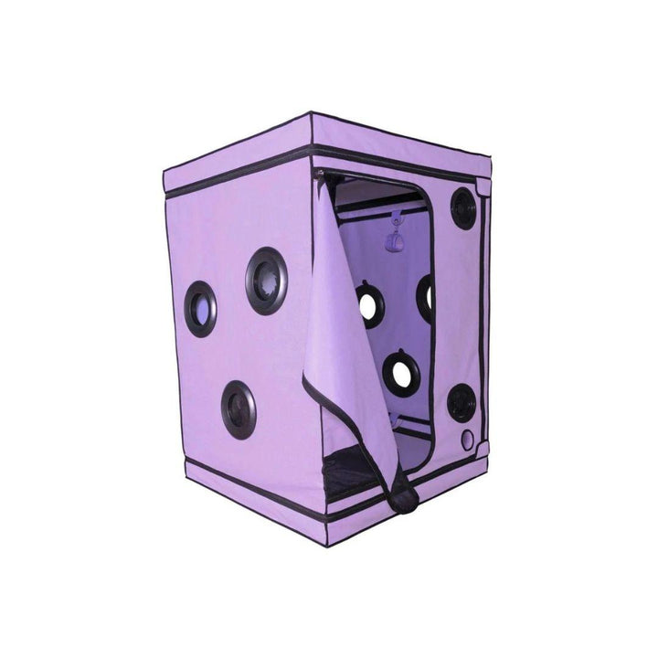 Skandal - Purple