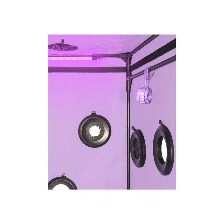 Skandal - Purple